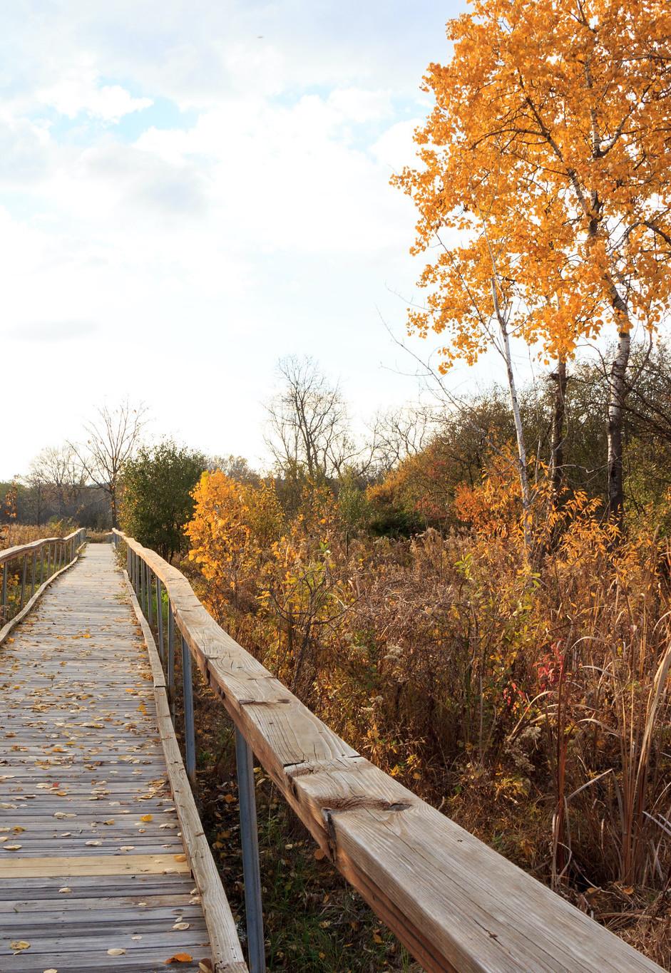 Kishwauketoe Nature Conservancy